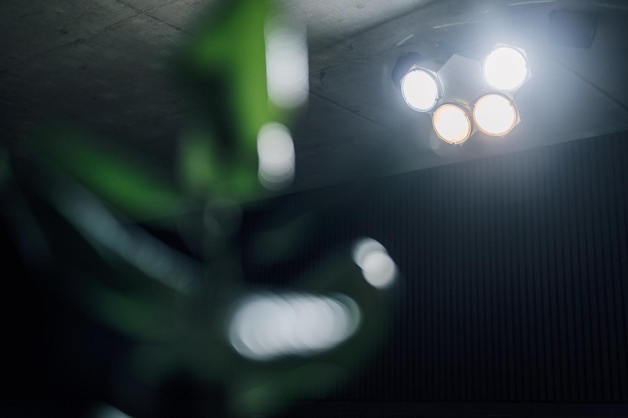 Otto Hotel & Sun Pāvilosta エクステリア 写真